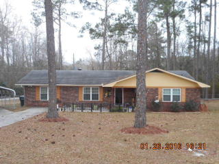 101 Azalea Ln, Reidsville, GA 30453-4928