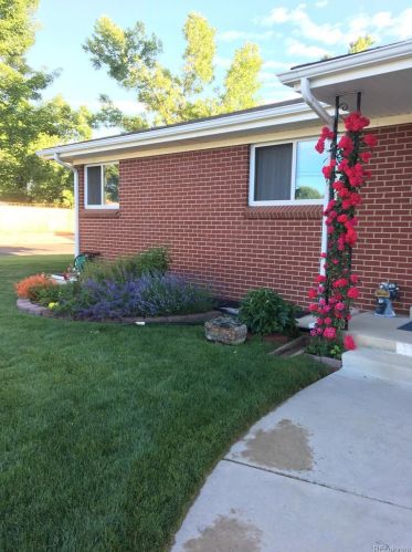 11171 60th Ave, Arvada CO  80004-4666 exterior