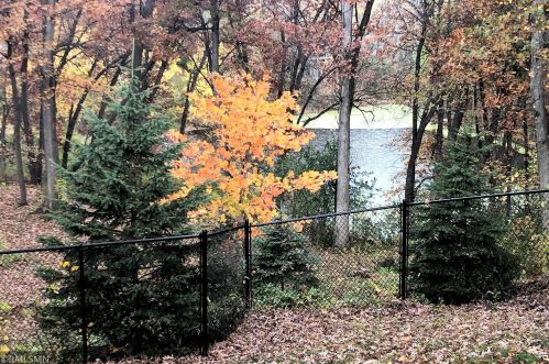 6603 129 St, Saint Paul MN  55124-7966 exterior