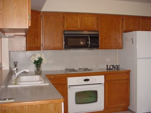 9138 Carlisle Ln, Orland Park, IL 60462-3377