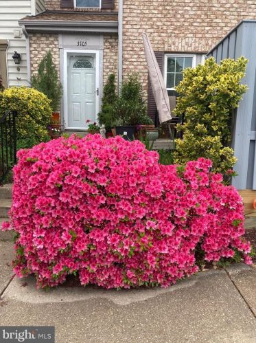 3105 Quartet Ln, Silver Spring, MD 20904-6824