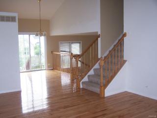 843 Cloverdale Ln, Lemont IL  60440-3272 exterior