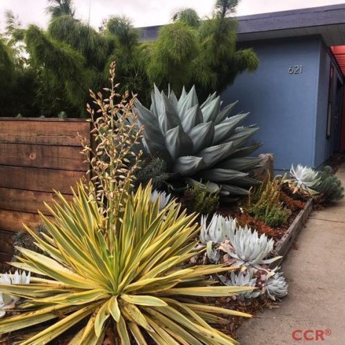 621 Woodbridge St, San Luis Obispo, CA 93401-5651