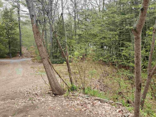 199 Oxbow Rd, Hinsdale, NH 03451-2048
