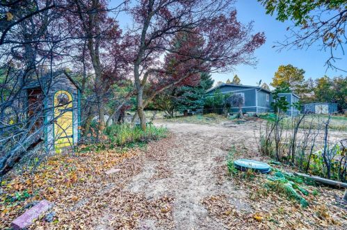 588 Coronado Dr, Deckers CO 80135-8316 exterior