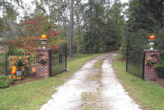 830 Diz Ln, Ridgeville, SC 29472-6927