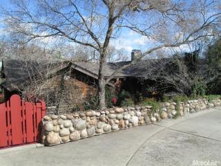 10009 Cork Oak Cir, Valley Home, CA 95361-9546