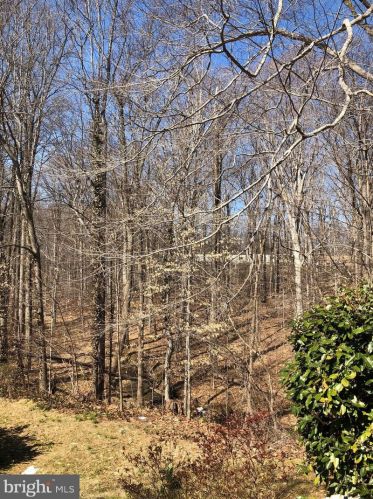 6335 Buffie Ct, Springfield VA  22015-3403 exterior