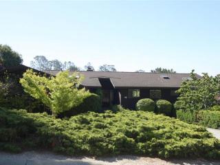 115 Dovewood Ln, Aptos, CA 95003-4705