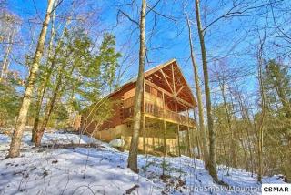 1432 Cupid Way, Pigeon Forge, TN 37876-9331