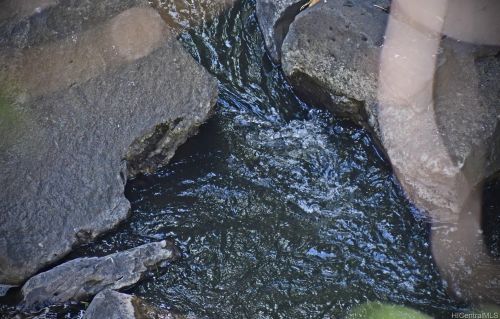 3138 Waialae Ave, Honolulu HI  96816-1535 exterior