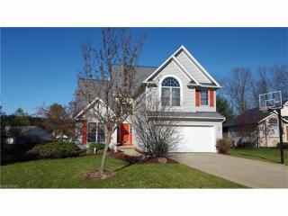 134 Pine Hollow Cir, Concord Township, OH 44024-1484