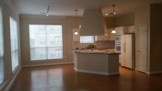 3303 Louisiana St, Houston TX  77006-6616 exterior