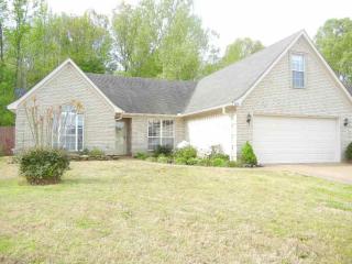 200 Winding Creek Dr, Somerville, TN 38060-3361