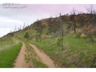 1191 Eiger Rd, Red Feather Lakes, CO 80536-9353