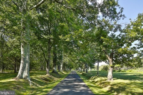 286 Carter Rd, Princeton, NJ 08540-7404