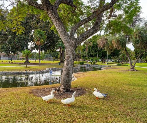 227 Helena St, Anaheim CA  92805-2939 exterior