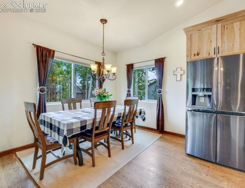 1171 Ptarmigan Dr, Woodland Park CO  80863-8005 exterior