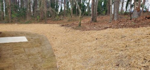 1534 Remington Ct, Conyers GA  30094-5946 exterior