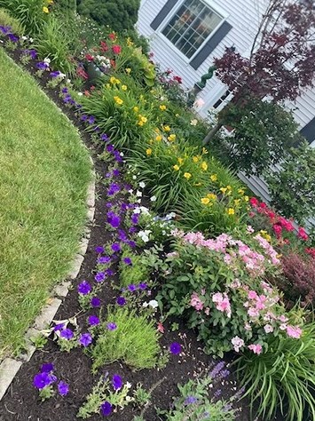 791 Delacourte Ave, Lemont IL  60490-5006 exterior