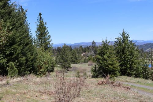 28901 Skyview Rd, Willits, CA 95490-8420