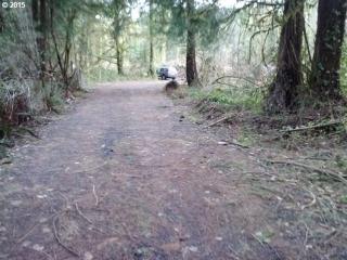 17150 Ten Eyck Rd, Sandy, OR 97055-8515