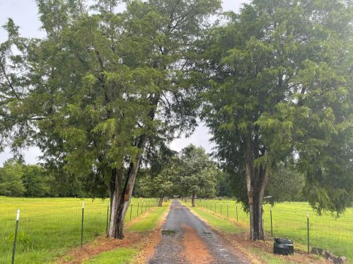 972 Sumter Hwy, Kingstree, SC 29556-4948