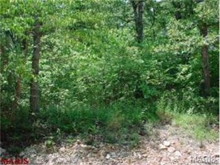 9666 Magnolia Dr, Hillsboro, MO 63050-3264