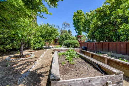 3381 El Monte Dr, Concord CA  94519-2806 exterior