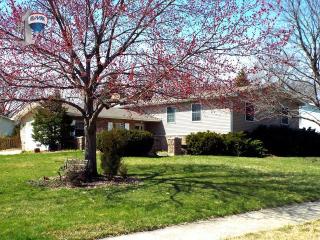 910 59th St, Lisle, IL 60532-3119