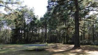 210 Lummus Ln, Fairmount, TX 75948-4046