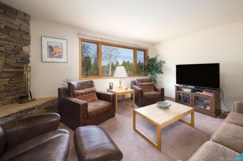 1653 Oro Grande Dr, Montezuma, CO 80435-7798
