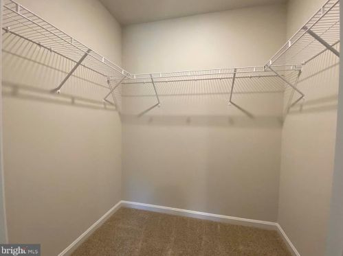 534 White Pne Dr, Fruitland MD 21826-1946 exterior