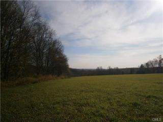 29 Wewaka Brook Rd, Bridgewater, CT 06752-1713