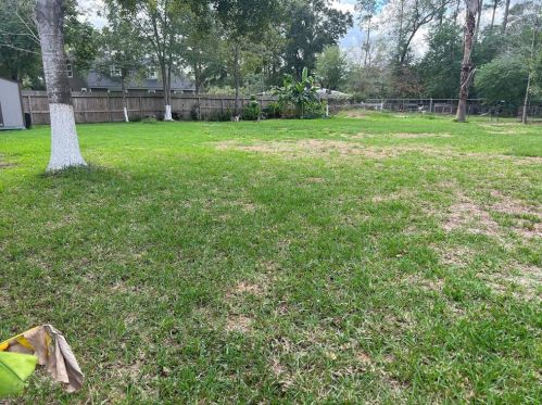 15408 Esther Dr, Conroe TX  77384-4641 exterior