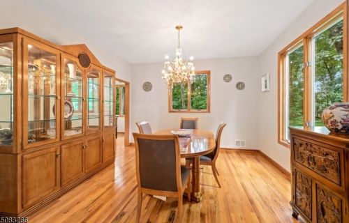 8 Elshaer Ct, Dover NJ  07869-1923 exterior