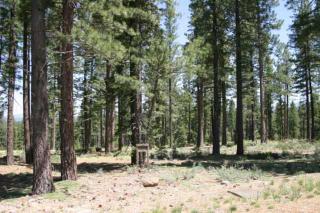 387 James Mciver, Truckee, CA 96161-5176
