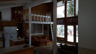 160 Cherokee Ln, El Jebel, CO 81623-9437