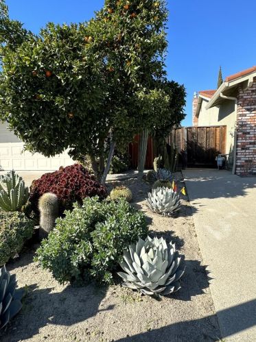 2073 La Orinda Pl, Concord CA  94518-3019 exterior