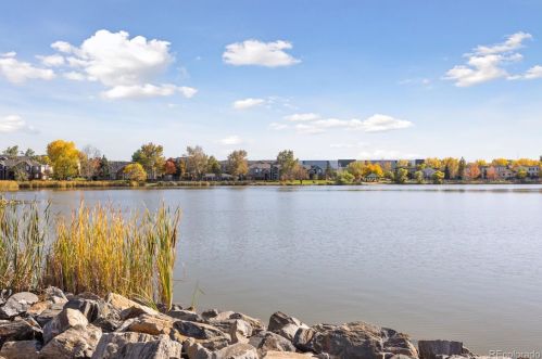 1146 130th Ave, Denver CO  80241-3930 exterior