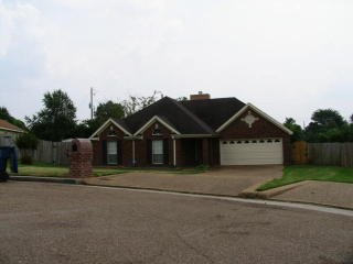 6685 Nelson Way Dr, Memphis, TN 38141-0724