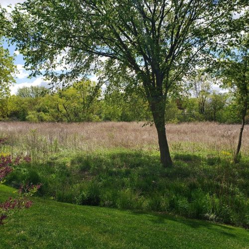 470 Muirfield Ln, Bannockburn IL  60015-3880 exterior