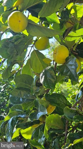 426 Holiday Dr, Aberdeen MD  21001-1813 exterior