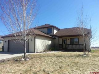 742 Daylilly Dr, Vallecito, CO 81122-9871