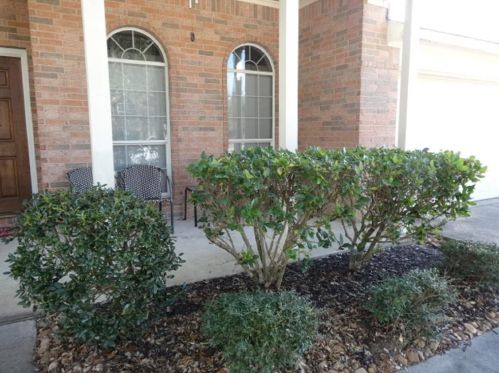 22949 Cayman Est, Conroe TX  77385-8114 exterior