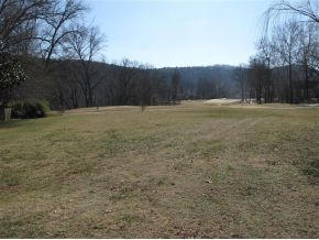 384 Sherwood Dr, Branson, MO 65616-3775