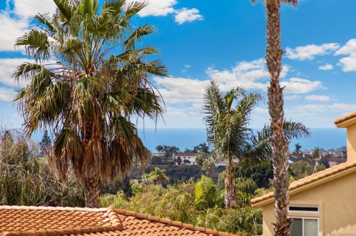2951 Corte Diana, Carlsbad, CA 92009-5914