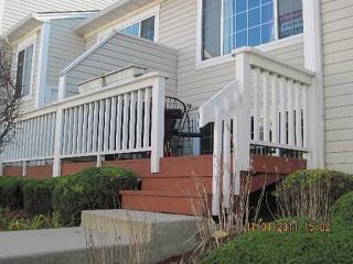 366 Springmist Ct, Lemont IL  60440-3817 exterior