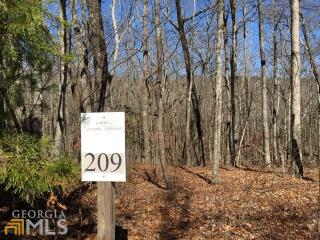209 Northview Pkwy, Ellijay, GA 30536-0080