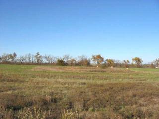 96 445th Rd, Centerview, MO 64019